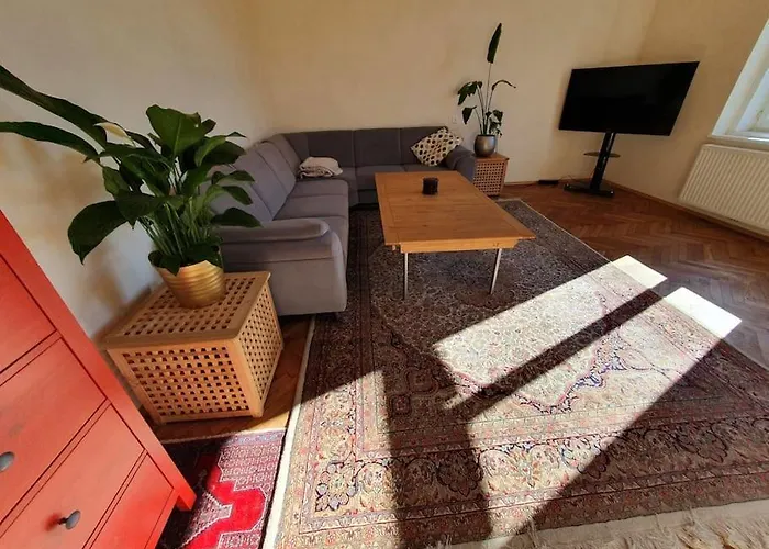 Neu Renovierte Altbauwohnung Im Herzen Von 100qm * Steyr