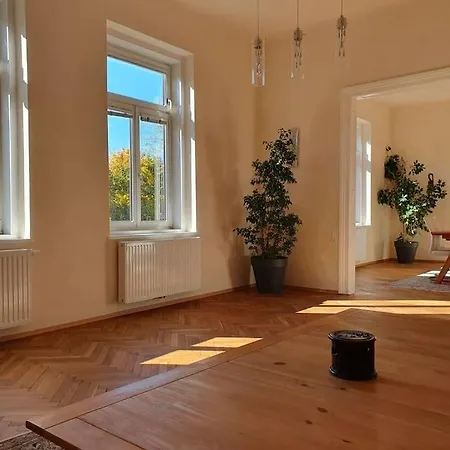 Neu Renovierte Altbauwohnung Im Herzen Von 100qm דירה