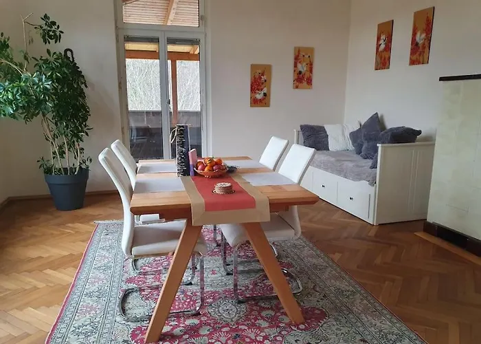 Neu Renovierte Altbauwohnung Im Herzen Von 100qm * Steyr