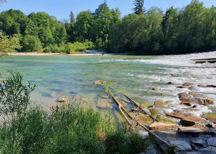 Neu Renovierte Altbauwohnung Im Herzen Von 100qm * Steyr